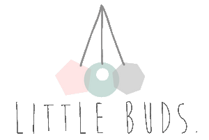 Little Buds Teethers